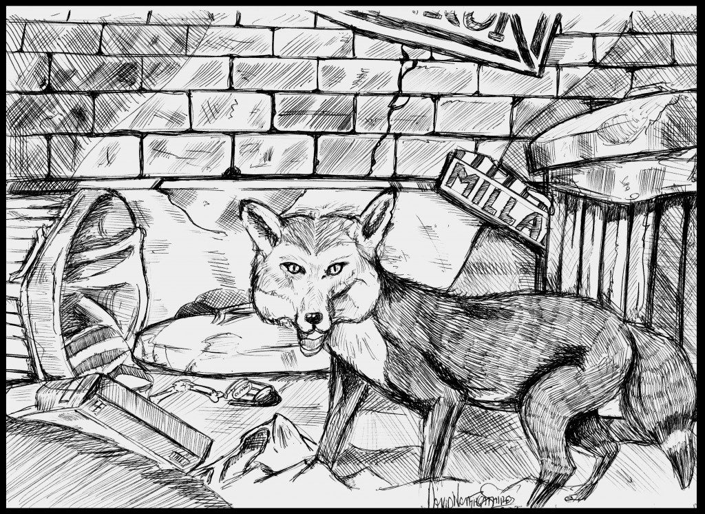 Fox by David Naughton-Shires