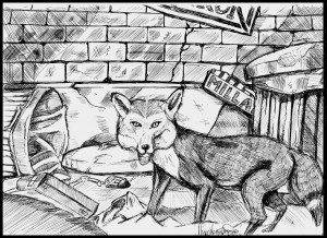 Fox by David Naughton-Shires