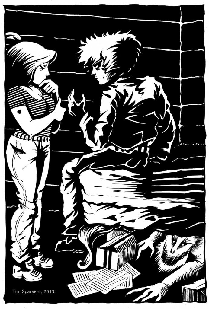 VH-Leslie-Tim-Sparvero-illustration