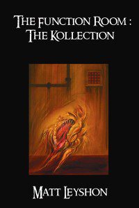 Function Room Matt Leyshon