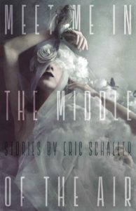 Cover of "Meet Me in the Middle of the Air," by Eric Schaller. For Alex Good review