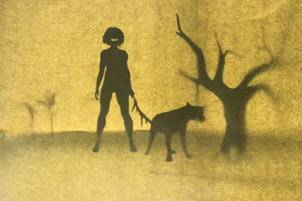 Dog Shins - Holly Francis