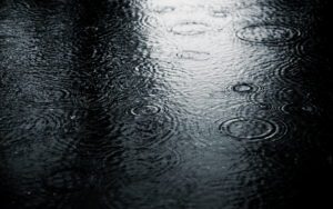 Rain Water Drops