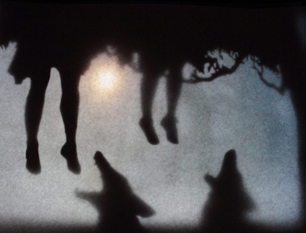 The Wolves of Willoughby Chase - Holly Francis