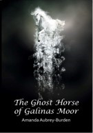The Ghost Horse of Galinas Moor