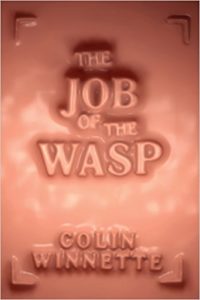 The Job of the Wasp by Colin Winnette - cover