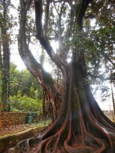 Fountain of Lovers -Memorial - Quinta Das Lágrimas