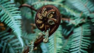 agathe-marty-0Izsy1Uy308-unsplash