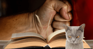 angry_cat_punch_book