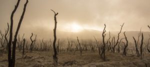 desert-horror-slider-960x430