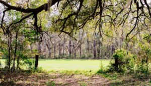 Eden Royce Interview