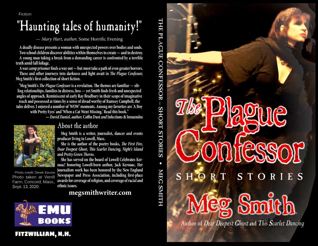 plague confessor cover final