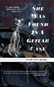 SheWasFoundInAGuitarCase