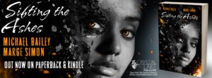 Sifting the Ashes banner 2