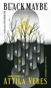 The Black Maybe by Attila Veres - cover