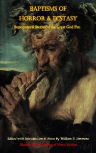 BaptismsHorrorEcstacy