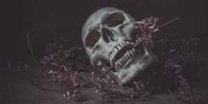 Still life photography with a human skull and branch of flower in the dark night on wood table