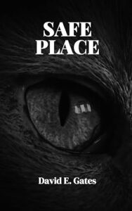 Safe Place by David E Gates