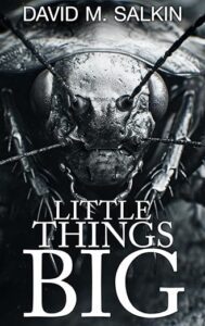 Little Big Things by David M Salkin
