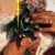 5 Must Read Horror Articles 8 June 2026 Mexican Gothic and Historical Horror