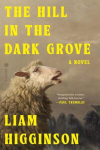 The Hill in the Dark Grove by Liam Higginson - cover