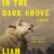 Look Out For ... The Hill in the Dark Grove by Liam Higginson The Hill in the Dark Grove by Liam Higginson - cover