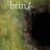 Look Out For ... The Brink by Sophia Adamowicz The Brink by Sophia Adamowicz - cover