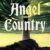 Angel Country by Alex T. Singer - cover