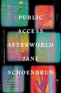 Public Access Afterworld by Jane Schoenbrun - cover